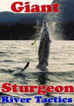 Sturgeon DVDs